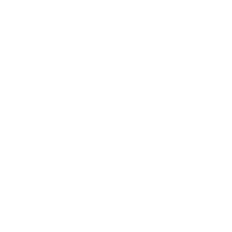 Cinema